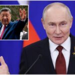 After Donald Trump, Putin to visit China's Xi Jinping on May 19 for two days