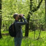<u></u>Crowdfunding helps Serbian birdwatchers save woodland