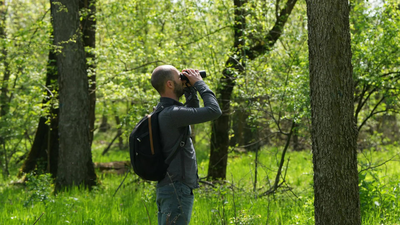 <u></u>Crowdfunding helps Serbian birdwatchers save woodland