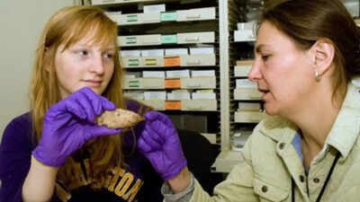 What looked like ordinary rubble on a university campus turned out to be a 6,700-year-old Native American artefact