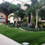 Why some front garden borders look expensive even with fewer plants?