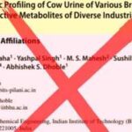 'Grossly misinterpreted': Hepatologist challenges findings of IIT-BHU cow urine study