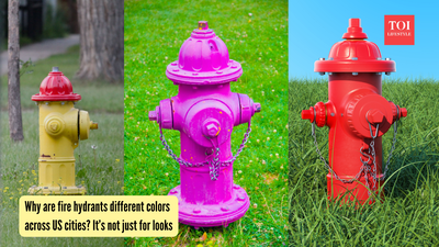 Why are fire hydrants different colors across US cities? It’s not just for looks |