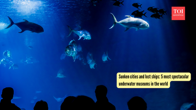 Sunken cities and lost ships: 5 most spectacular underwater museums in the world