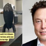 Elon Musk becomes the world's first trillionaire: He lives in a 400 square feet home, and his mom reveals, 'There is no food in the fridge'