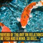 Japanese proverb of the day on relationships: “If the fish has a mind, so does...”