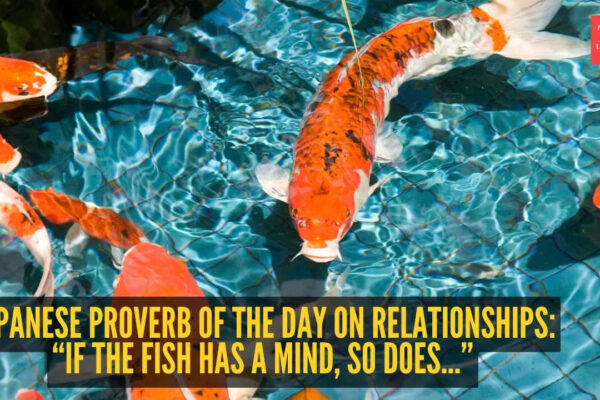 Japanese proverb of the day on relationships: “If the fish has a mind, so does...”