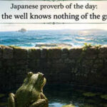 Japanese proverb of the day: "A frog in the well knows nothing of the great ocean" |