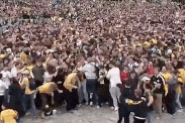 Pandemonium in Melbourne! Socceroos send fans into frenzy after FIFA World Cup win over Turkey | Football News
