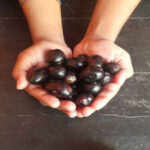 6 delicious jamun dishes that make getting vitamin C surprisingly easy