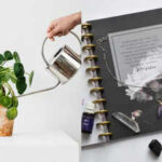 Where to place a money plant for prosperity
