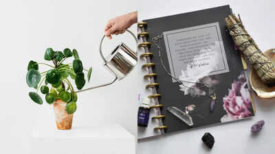 Where to place a money plant for prosperity