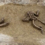 77 headless skeletons unearthed in Europe’s most mysterious Neolithic burial site in Slovakia