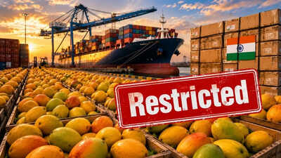 Another blow! After Japan, Nepal restricts mango imports from India