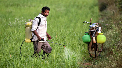 'It takes time to restart plants': Hormuz reopening may not ease fertiliser woes anytime soon, say industry executives