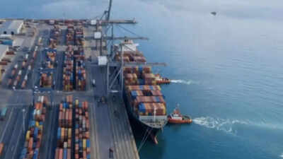 Goods export estimated to have grown 15 per cent in May