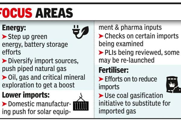 Govt starts work on steps to increase domestic resilience