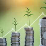 MFI portfolio shrinks 17% in FY24, shows signs of stabilization in Q4