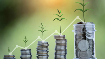 MFI portfolio shrinks 17% in FY24, shows signs of stabilization in Q4