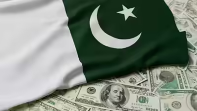 Pakistan eyes higher donkey meat, other related products export to China
