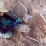 Archaeologists discover Roman soldier buried inside a 5,000-year-old Spanish fortress