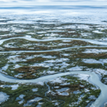 Arctic alarm: Earth's frozen carbon stores in the Arctic may stop absorbing CO2 and start releasing it by the 2050s