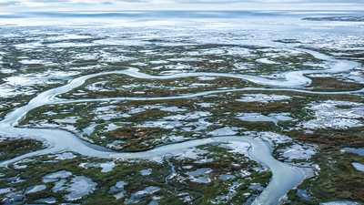 Arctic alarm: Earth's frozen carbon stores in the Arctic may stop absorbing CO2 and start releasing it by the 2050s