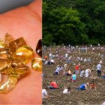 At this US park, visitors have found over 37,000 diamonds since 1972 and can keep every gem they discover