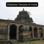 Inside ‘Diabetes Temple’: The ancient Tamil Nadu shrine where devotees believe ants carry away their illness