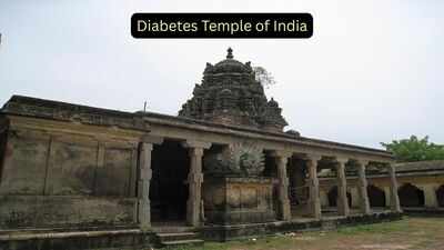 Inside ‘Diabetes Temple’: The ancient Tamil Nadu shrine where devotees believe ants carry away their illness