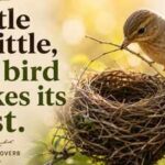 French proverb of the day: 'Little by little, the bird makes its nest' — a lesson on why slow, steady effort builds the strongest foundations