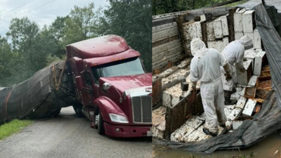 Honey havoc: 24 million honeybees escape after 18-wheeler overturns, forcing Texas neighbourhood into lockdown