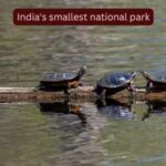 Why is it so difficult to visit India's smallest national park? |