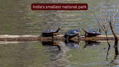 Why is it so difficult to visit India's smallest national park? |