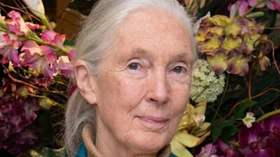 Quote of the day by Jane Goodall: “Change happens by listening and then starting a dialogue with the people who are doing something you don’t believe is right.”
