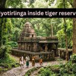 This is the only Jyotirlinga Temple located inside India’s largest tiger reserve; here’s how to reach It