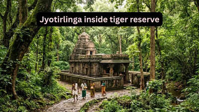 This is the only Jyotirlinga Temple located inside India’s largest tiger reserve; here’s how to reach It