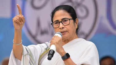 No proposal or discussion to merge with Congress: TMC