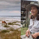 Meet Carol Ruckdeschel: The 84-year-old woman who chose to live alone on a wild island filled with snakes, horses and devoted life to nature