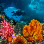 Melting icebergs create new deep-sea habitats 2,500 metres beneath the Arctic Ocean as rocks transform the seafloor