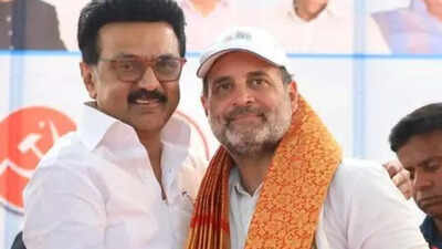 'Will fight together for democracy': Rahul Gandhi thanks MK Stalin and Kanimozhi for birthday wishes after Congress-DMK split