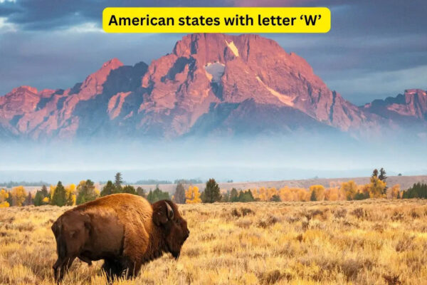 There are only 4 American states that begin with the letter 'W', and they hide some of the world's most iconic wonders