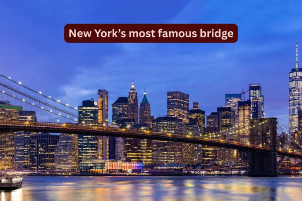 This bridge in New York once hosted 21 elephants; 5 interesting things to know
