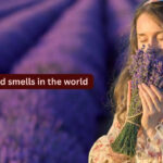 10 most-loved smells in the world and where travellers can experience them