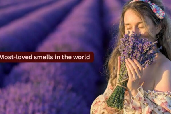 10 most-loved smells in the world and where travellers can experience them