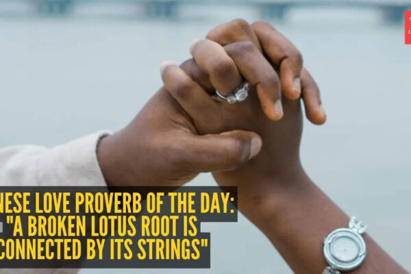A broken lotus root is connected by its strings