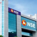Individuals make up 47% of NSE owners
