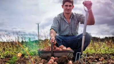 German proverb of the day: 'The stupidest farmers have the biggest potatoes' — a witty reminder that success doesn't always go to the smartest people