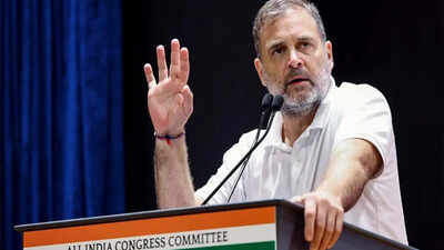 'INDIA bloc has already won 2029 elections': Rahul Gandhi lays out strategy of 'resistance with unity'