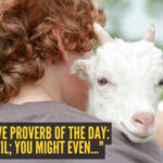 Russian love proverb of the day:  "Love is evil; you might even..."